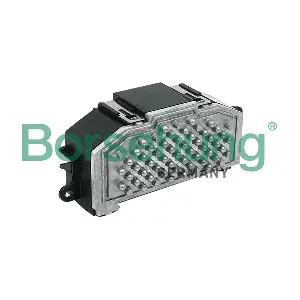 B11451 Borsehung