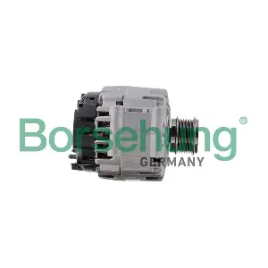 B12046 Borsehung