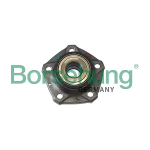 B11286 Borsehung