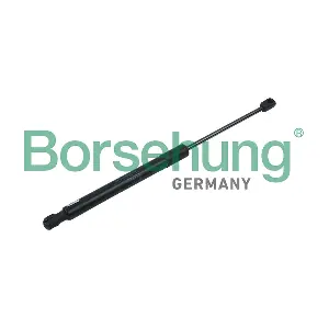Borsehung B14192
