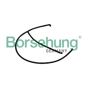 Borsehung B11988