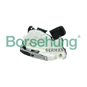 B18643 Borsehung