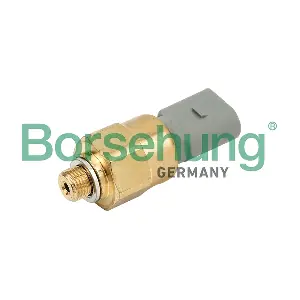 B13135 Borsehung