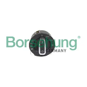 B18567 Borsehung