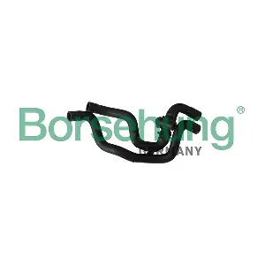 B11967 Borsehung
