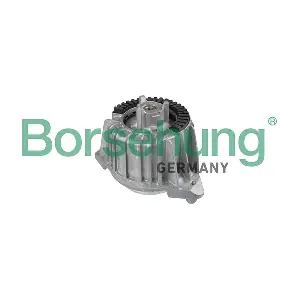 B10997 Borsehung