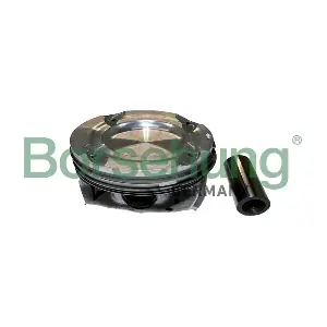 Borsehung B11138