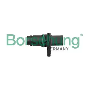 B12322 Borsehung