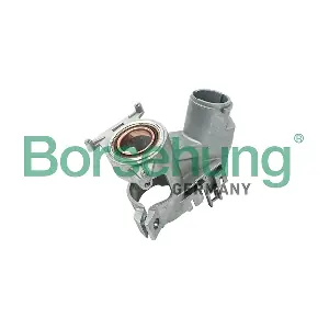 B17981 Borsehung