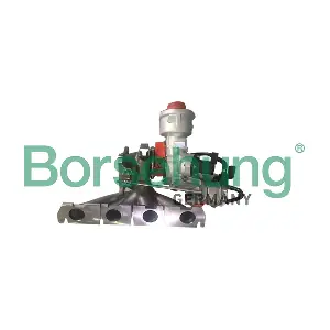 B18807 Borsehung