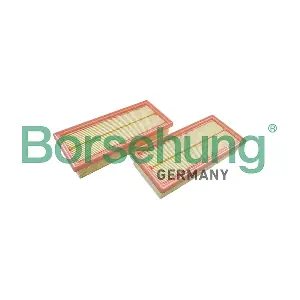 B13058 Borsehung