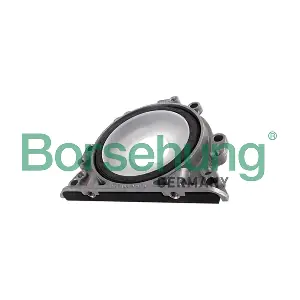 B12196 Borsehung