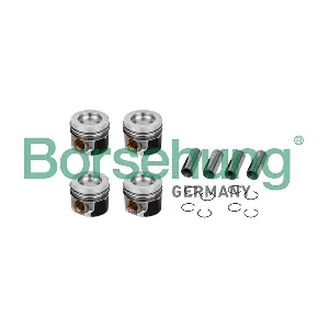 Borsehung B11132