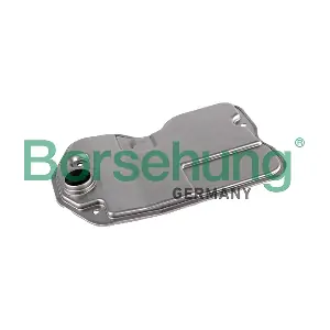 B12713 Borsehung