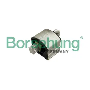 B13075 Borsehung