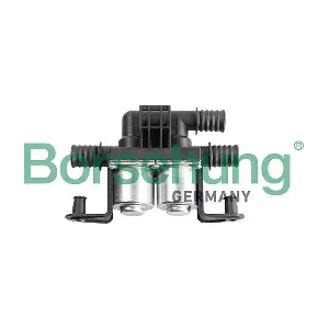 B12580 Borsehung