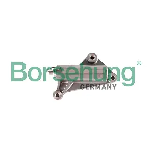 B12948 Borsehung