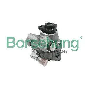 B13208 Borsehung