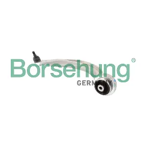 B10845 Borsehung