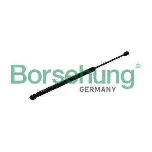 B19169 Borsehung