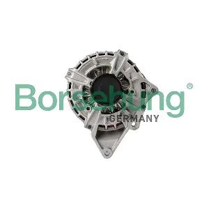 B12662 Borsehung