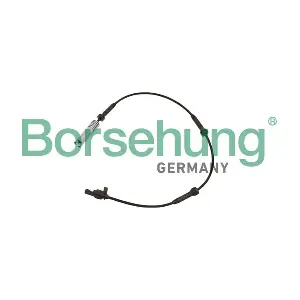 B12247 Borsehung