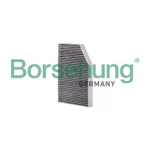 B12860 Borsehung