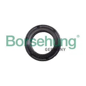 Borsehung B17833