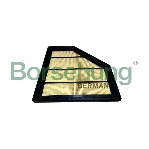 B12453 Borsehung