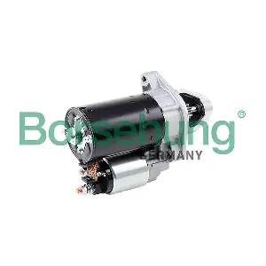 B12031 Borsehung