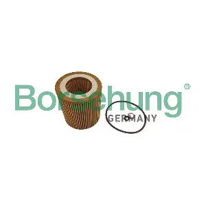 B10469 Borsehung