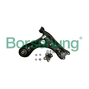 B12209 Borsehung