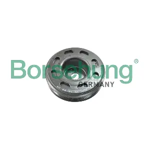 B12079 Borsehung
