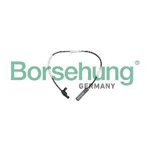 B13104 Borsehung