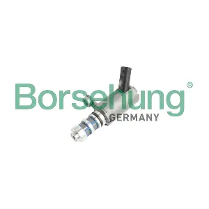 Borsehung B11858