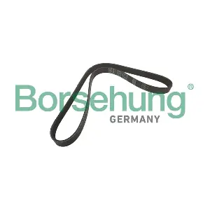 B12356 Borsehung