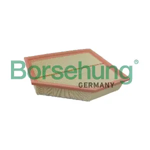 B12699 Borsehung