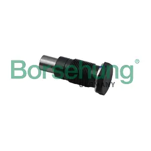 B19308 Borsehung