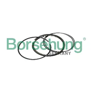 Borsehung B10367