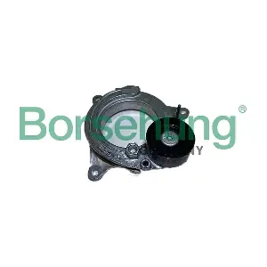 B12468 Borsehung