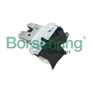 B18197 Borsehung