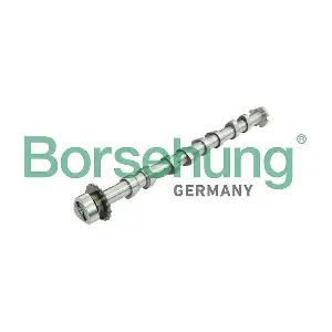 B13031 Borsehung