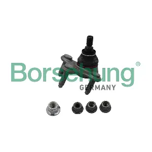 B18699 Borsehung
