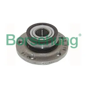 Borsehung B15621