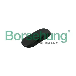 B18497 Borsehung