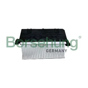 B12464 Borsehung