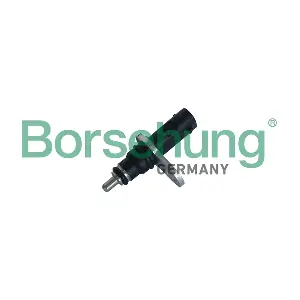 B11863 Borsehung