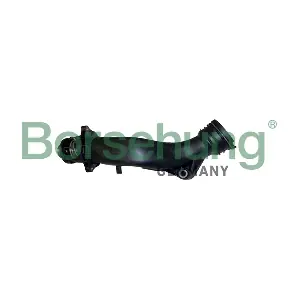 B10560 Borsehung