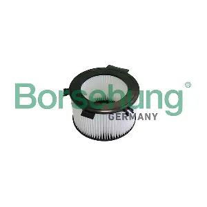 Borsehung B10549 Фільтр, повітря у салоні