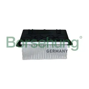 B12463 Borsehung